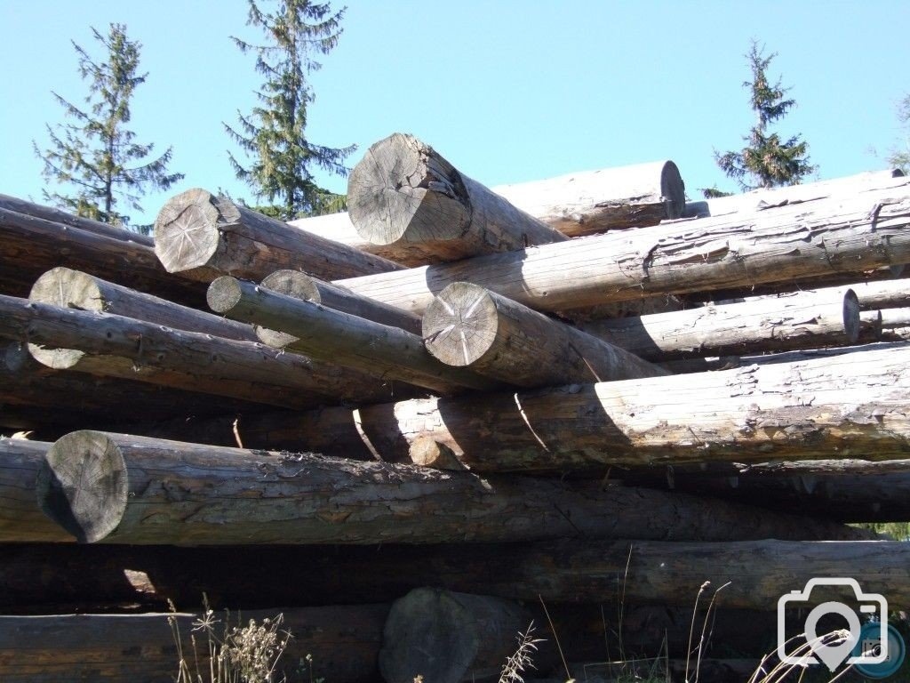 logs