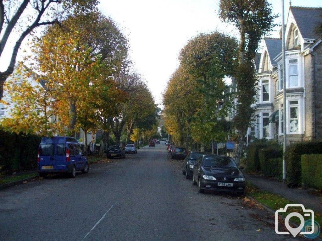 Looking up Alexandra Road in Autumn, 4th Nov10