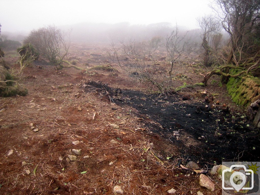 Madron Carn - barren