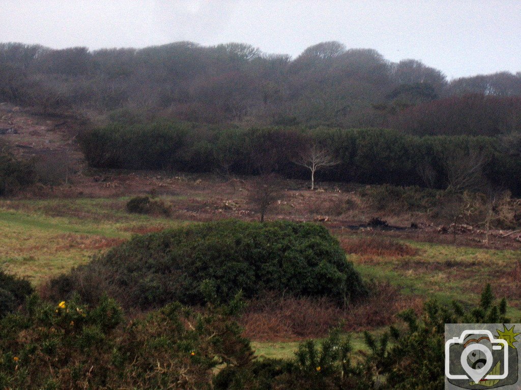 Madron Carn view