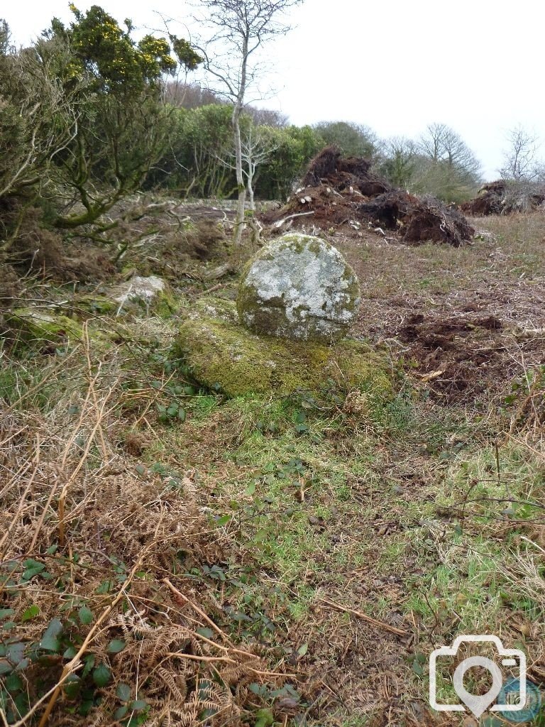 MADRON CARN