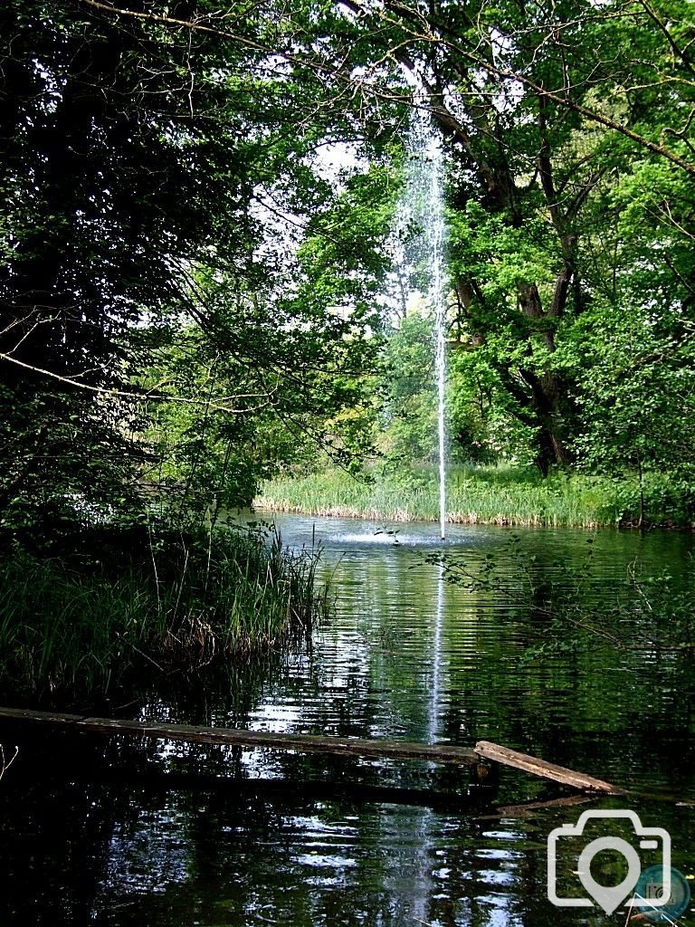 Mainau attraction - 01