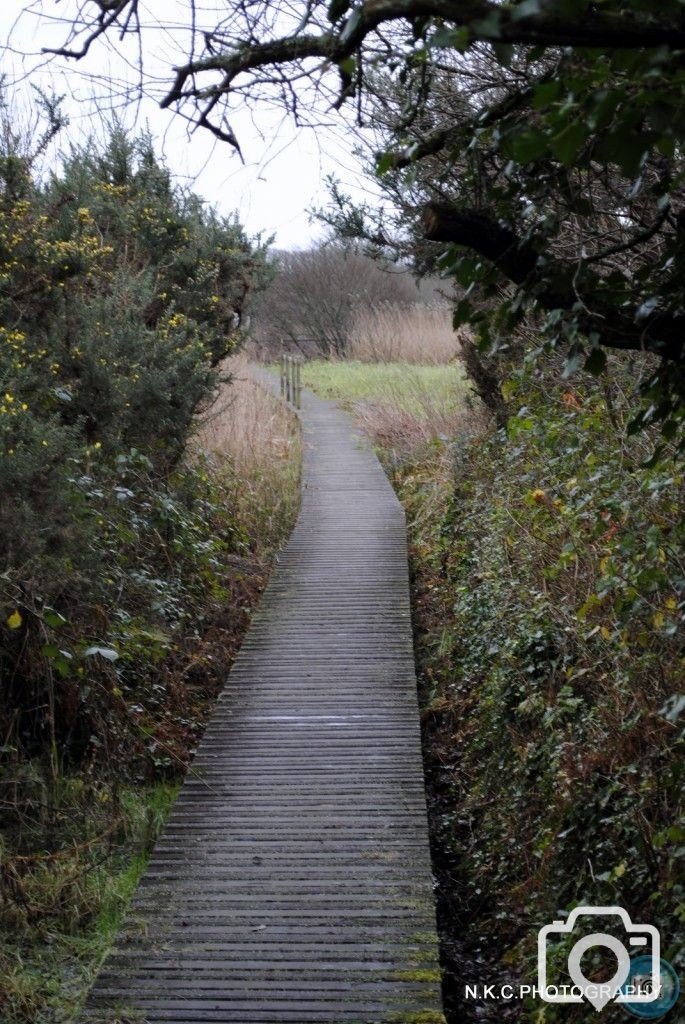 Marazion foot path through the marsh