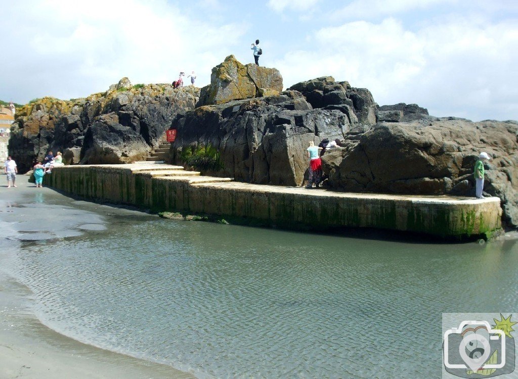 Marazion Marsh - 02Jun10