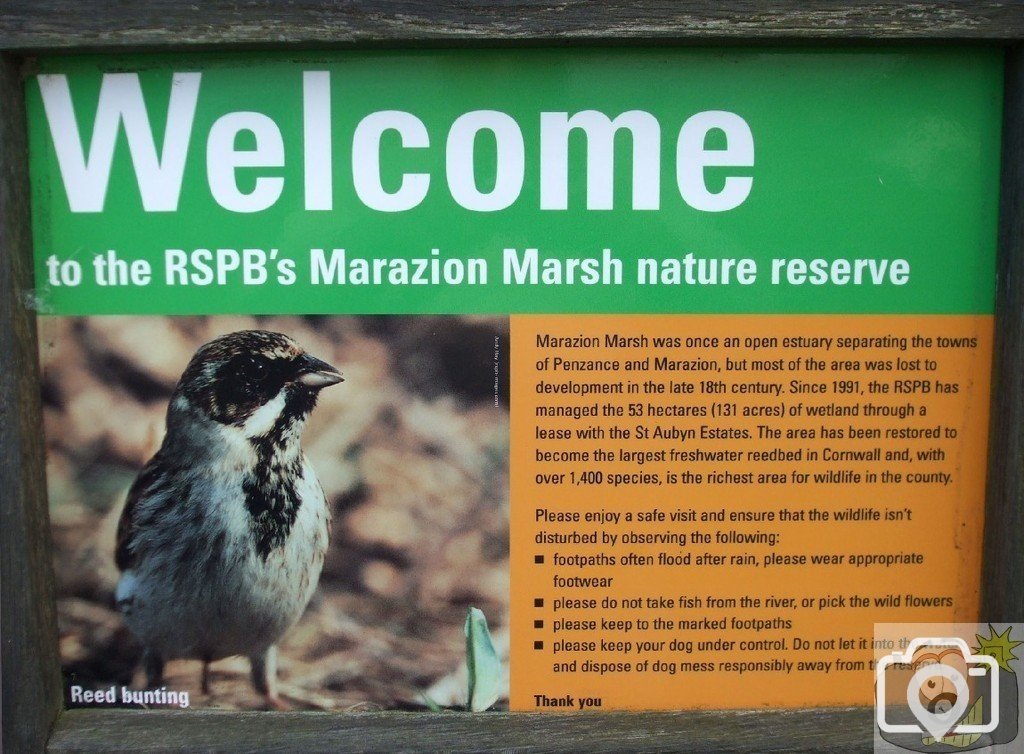 Marazion Marsh - 02Jun10