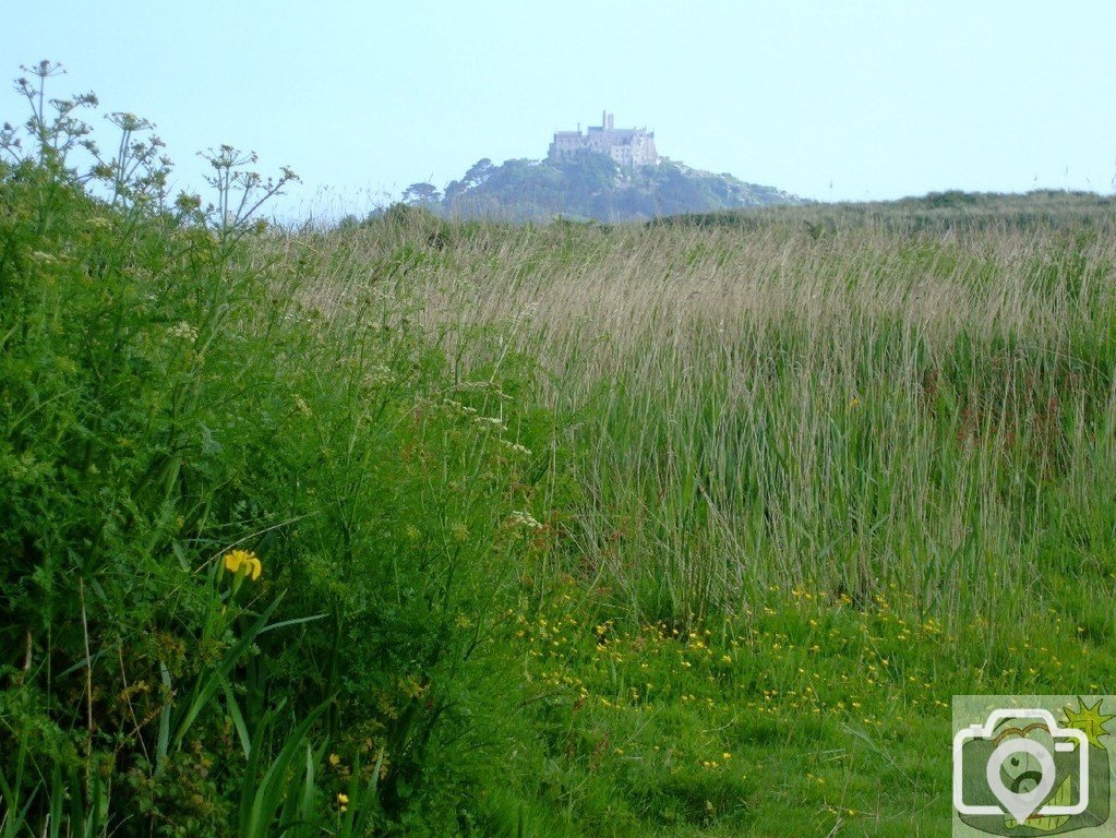 Marazion Marsh with St Michael's Mount in background - 02Jun10