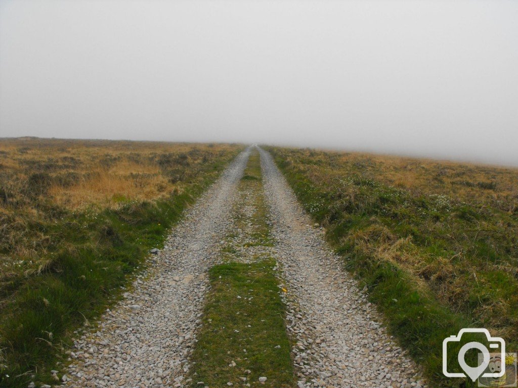 Misty track