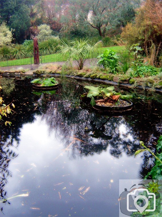 Morrab Gardens Pond 01