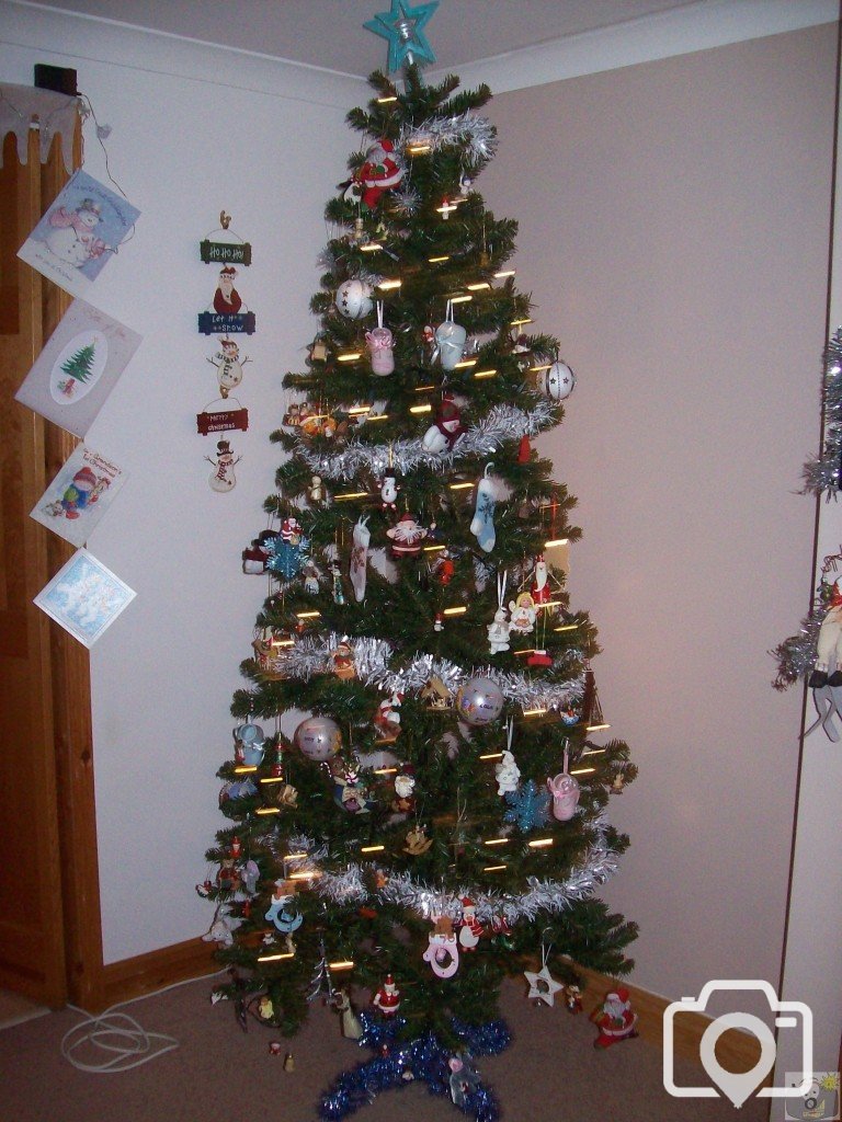 My tree