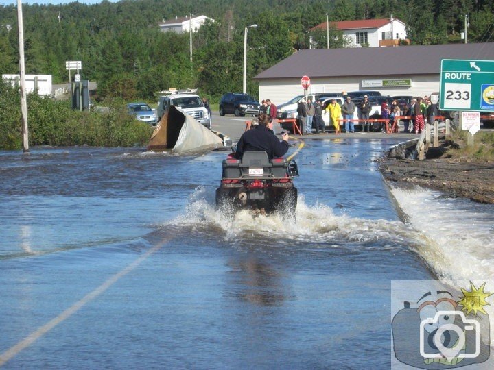 Newfoundland (4)