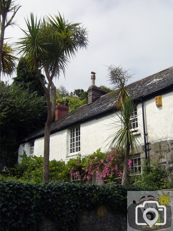 Newlyn Coombe
