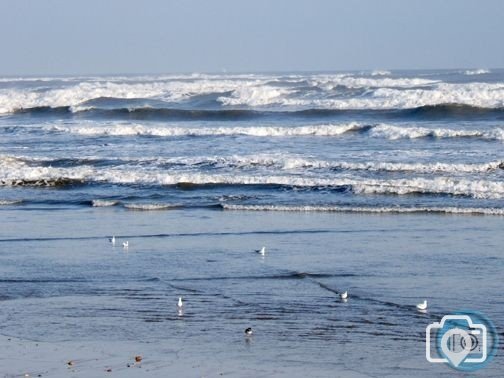 North Sea Waves