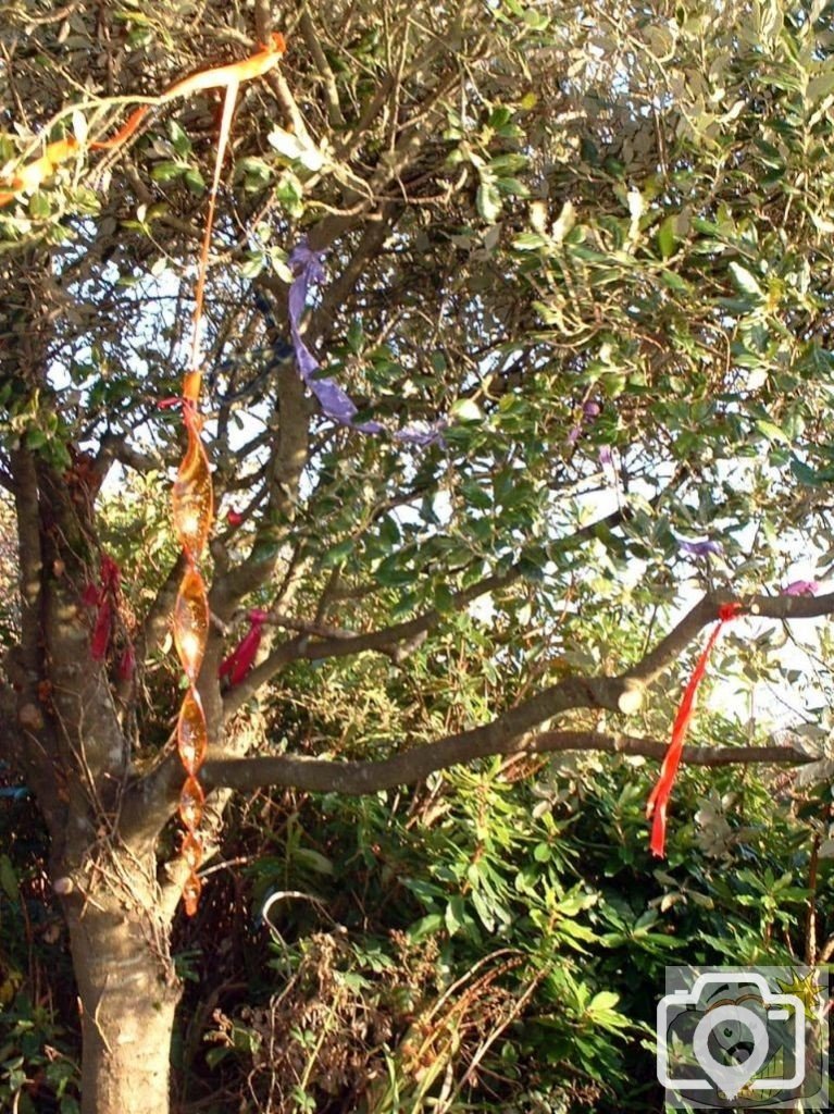 Offerings or Symbols of Petition hang by the Holy Well of Sancreed