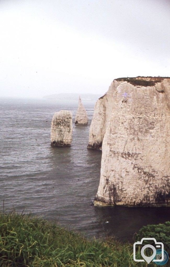 Old Harry Rocks, Swanage