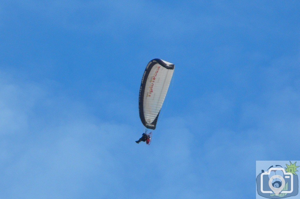 Paragliders