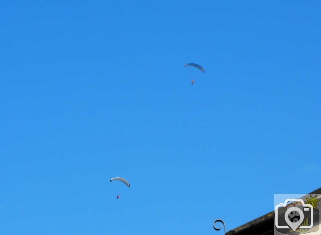 Paragliders