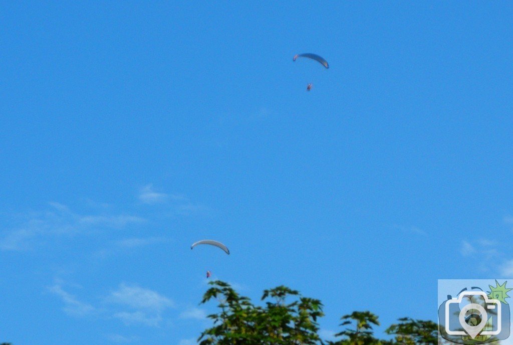 Paragliders