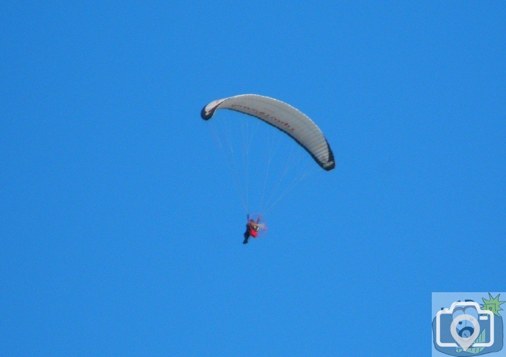 Paragliders