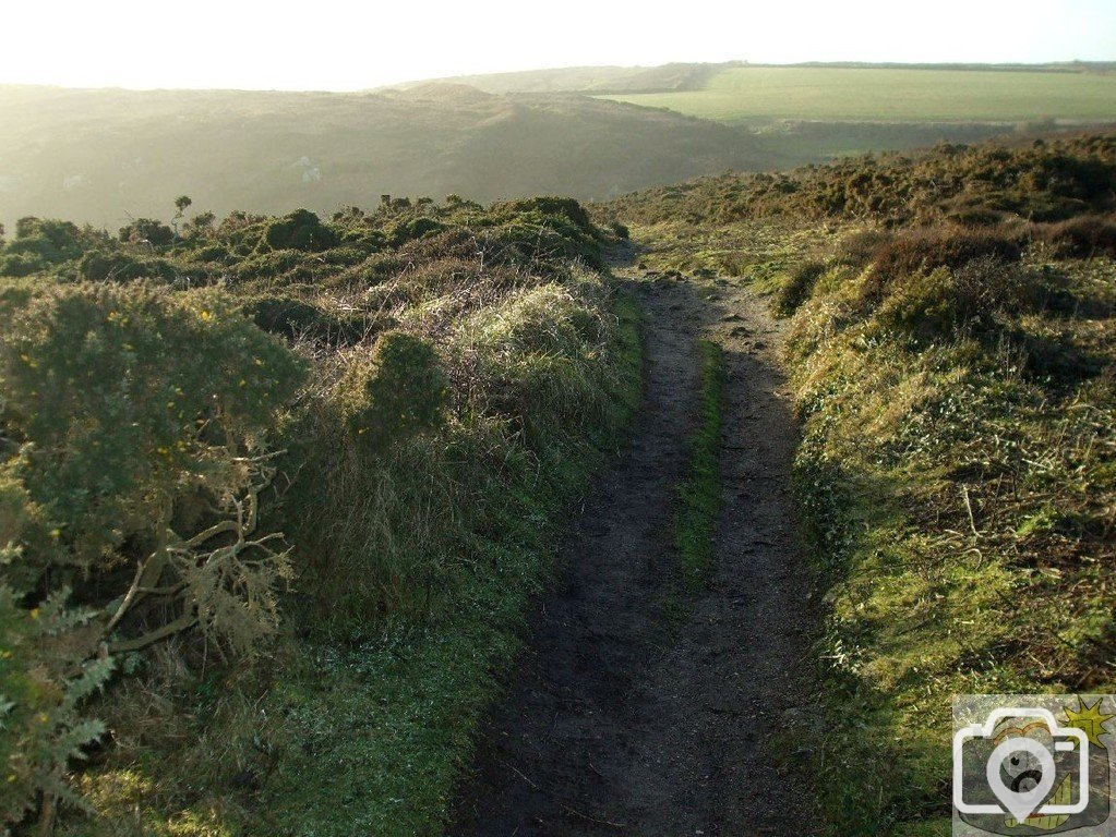 Path west from Cribba Hd, Penberth - 17th Jan. 2010