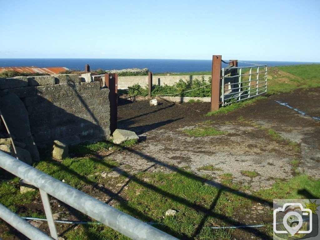 Pendeen Manor Farm - 24Oct10