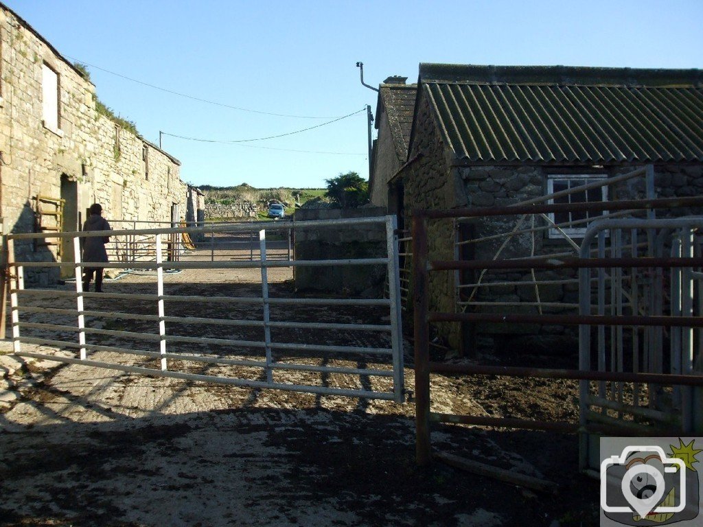 Pendeen Manor Farm - 24Oct10