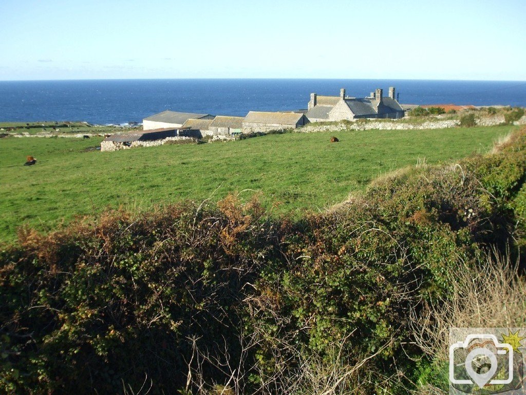 Pendeen Manor Farm - 24Oct10