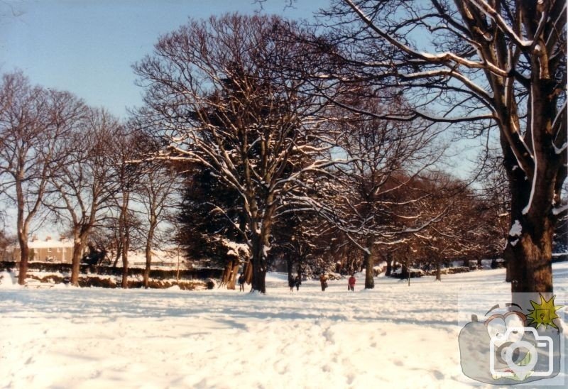 Penlee Park 1987