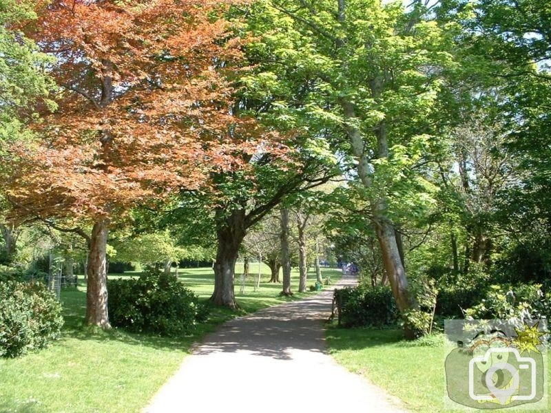 Penlee Park in Summer - 2005