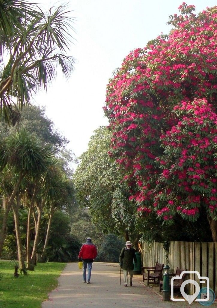 Penlee Park, March 2011