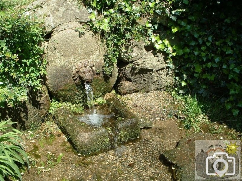 Penlee Park pond shoot in 2005