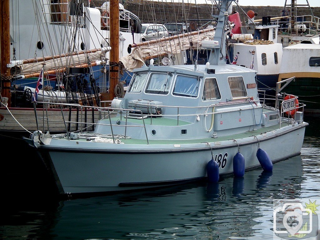 Pilchards - 01