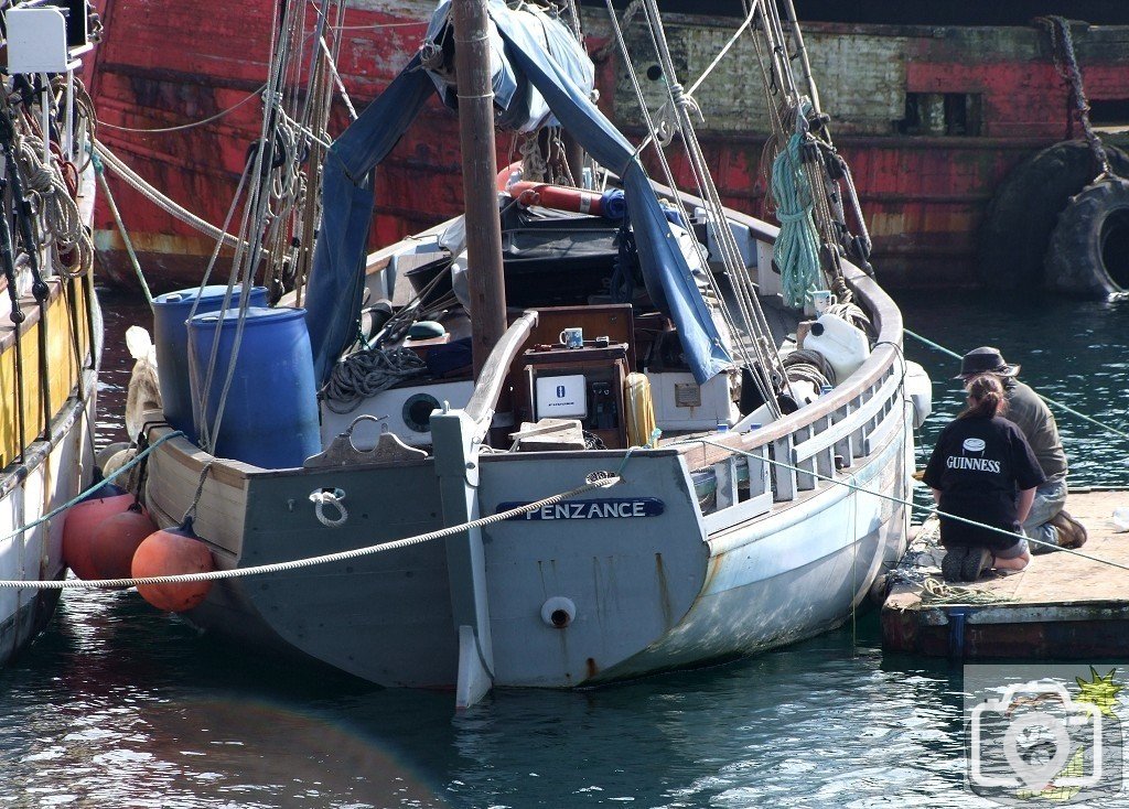 Pilchards - 08