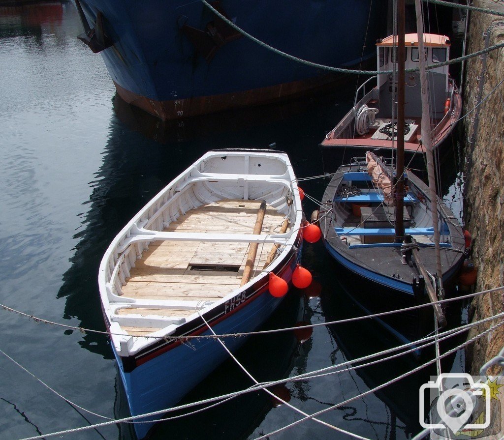 Pilchards - 18