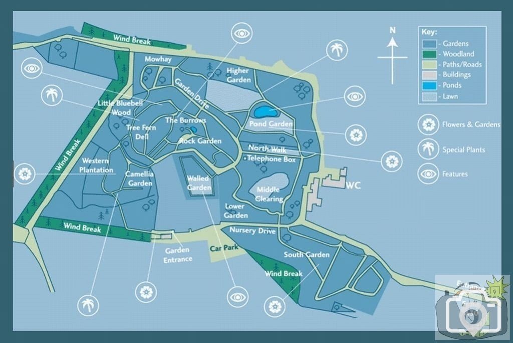 Plan of Trewidden Gardens - June '08