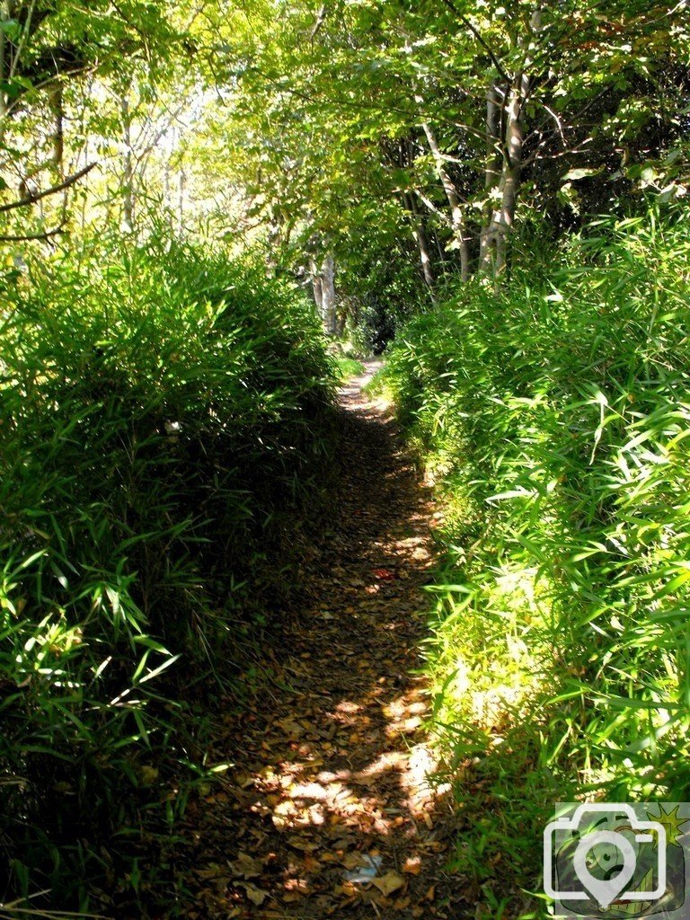 Ponsandane (1)