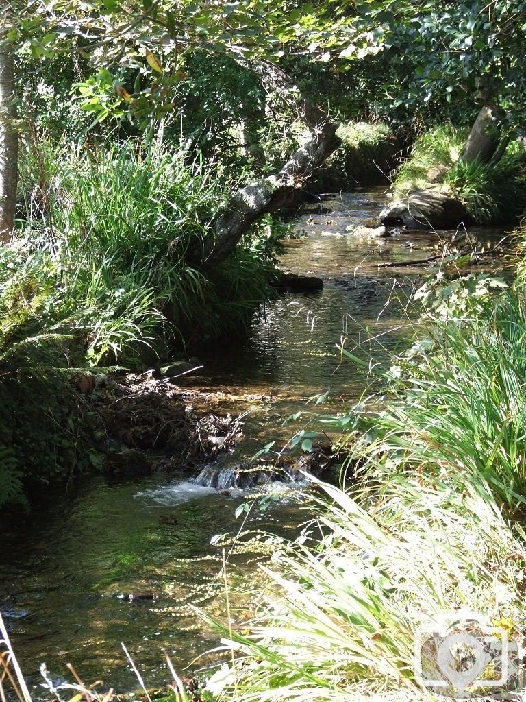 Ponsandane Brook - 11