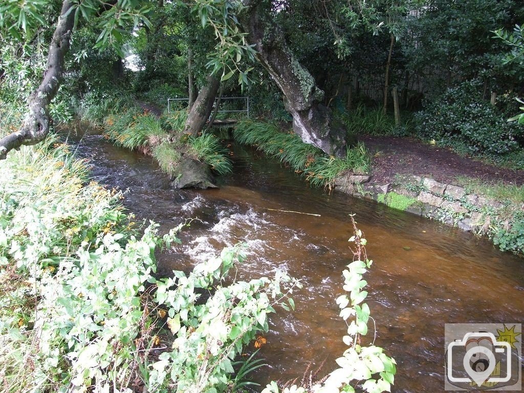 Ponsandane Brook - 6