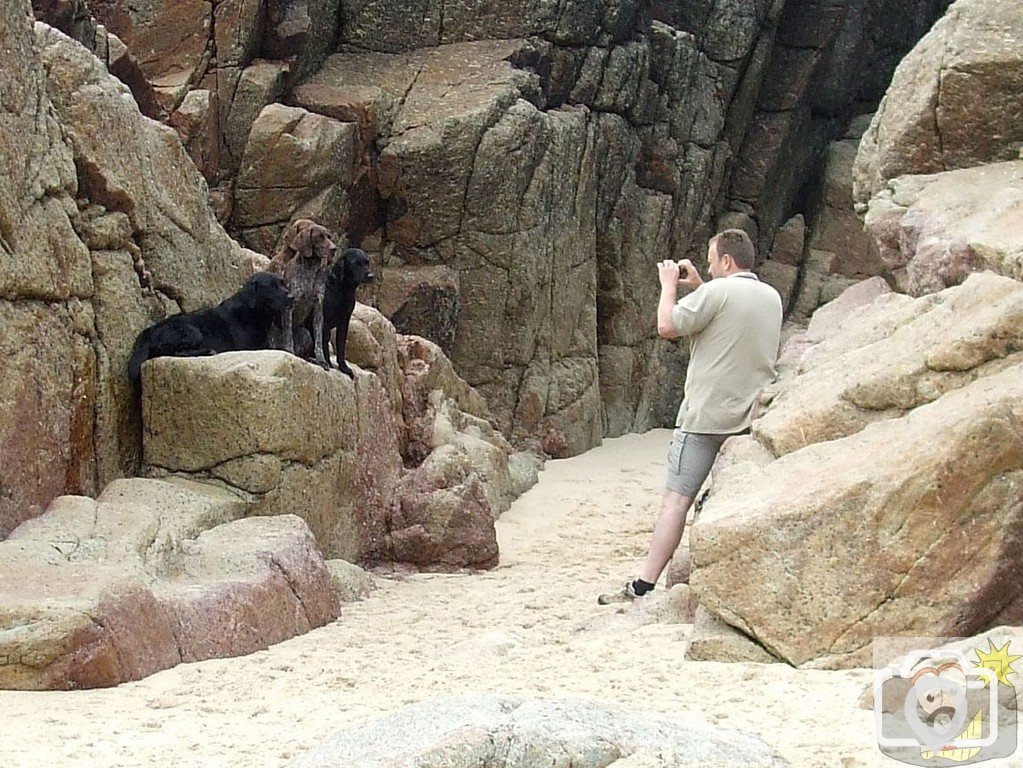 Porth Chapel - 17May10 - Sea dogs?