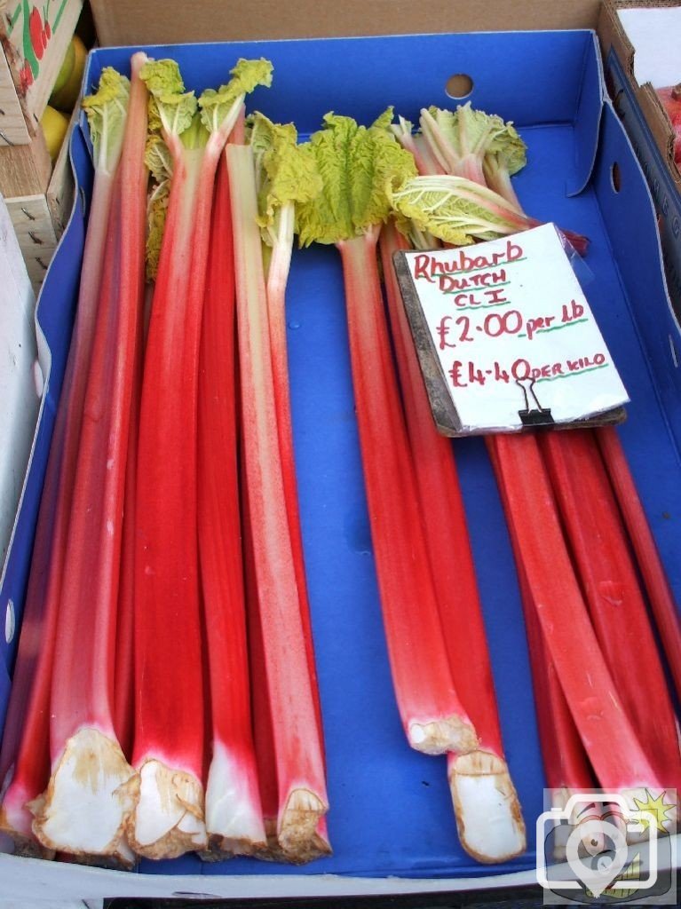 Rhubarb - Tregenza's Greengrocers, the Greenmarket, Feb., 2007