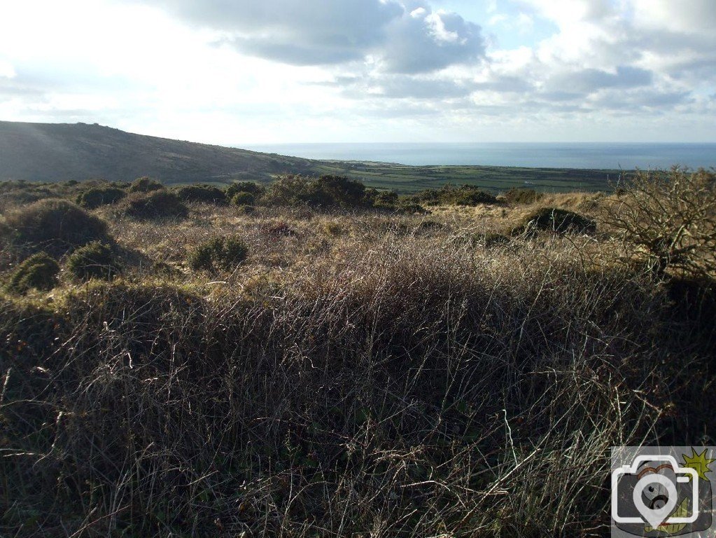 Rosewall Hill - 10th February, 2010