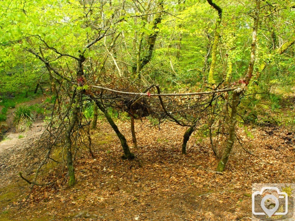 Shelter
