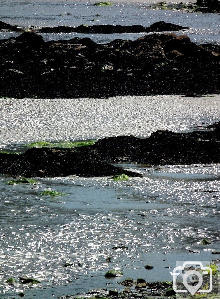 Shoreline - 04