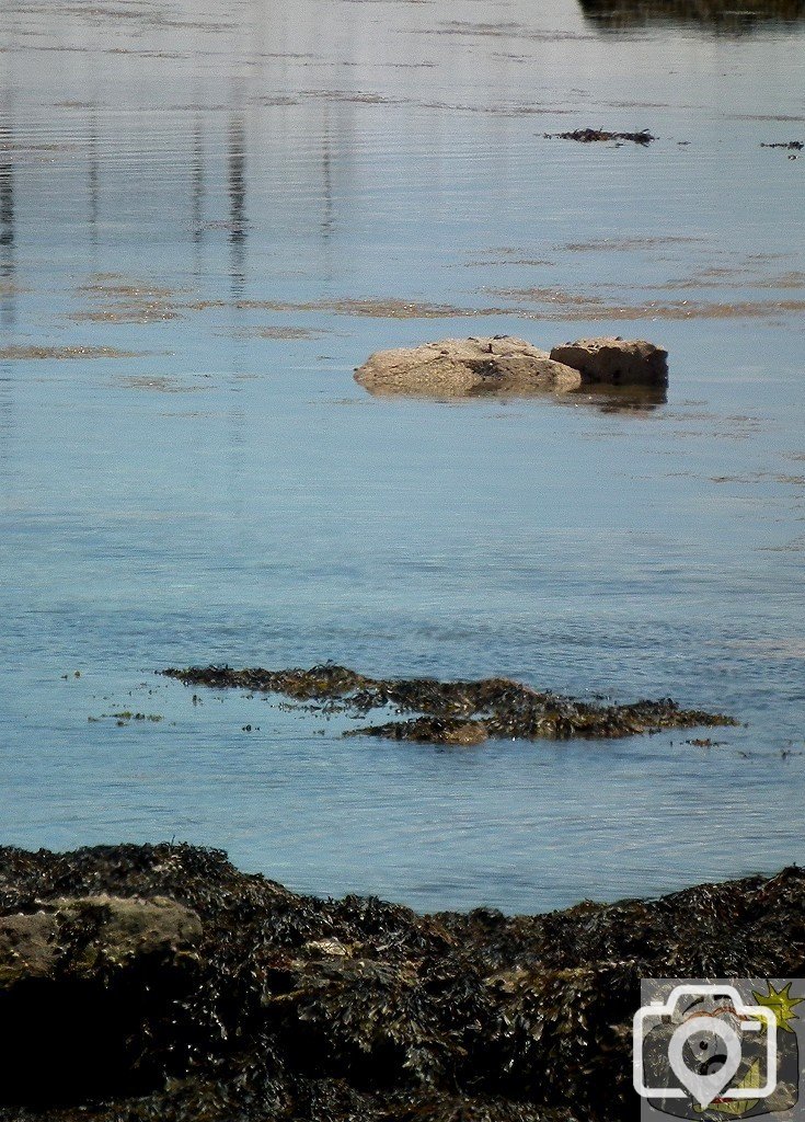 Shoreline - 17