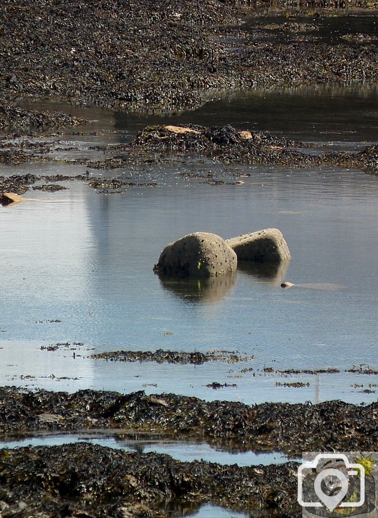Shoreline - 19