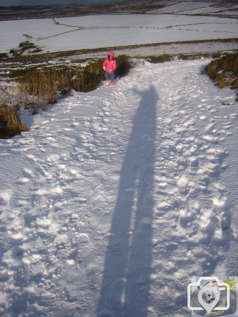 Snow Shadow