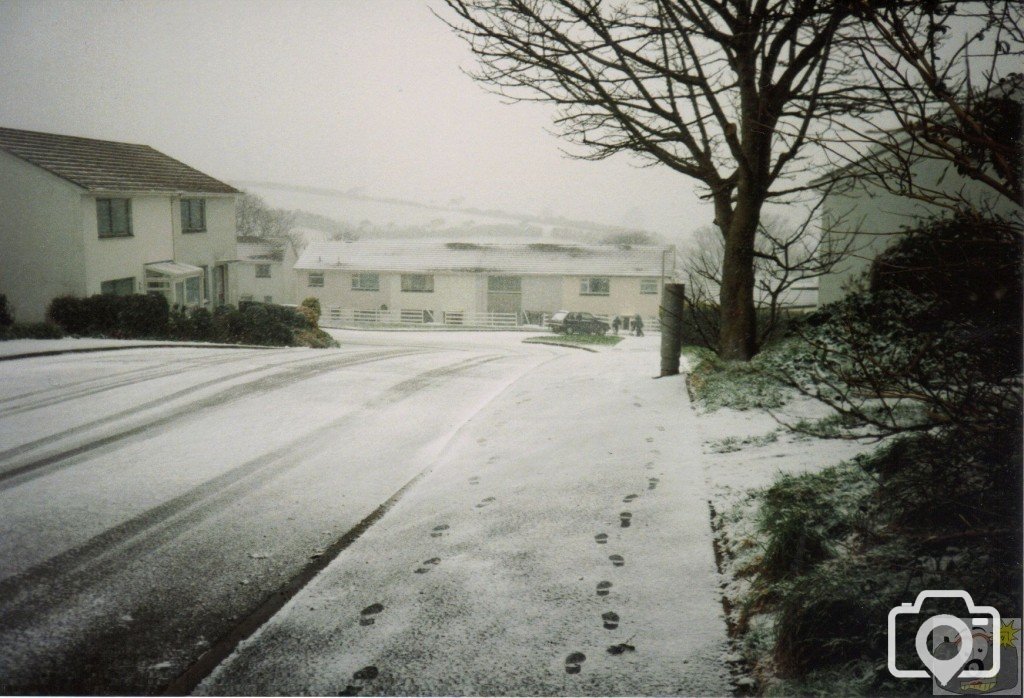 Snowy Pendennis