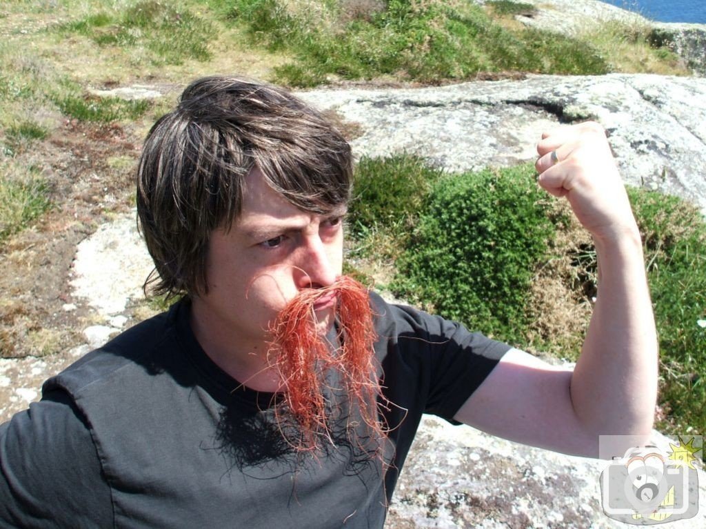 Son sports moustache made from a parasytic plant that lives on top of gorse