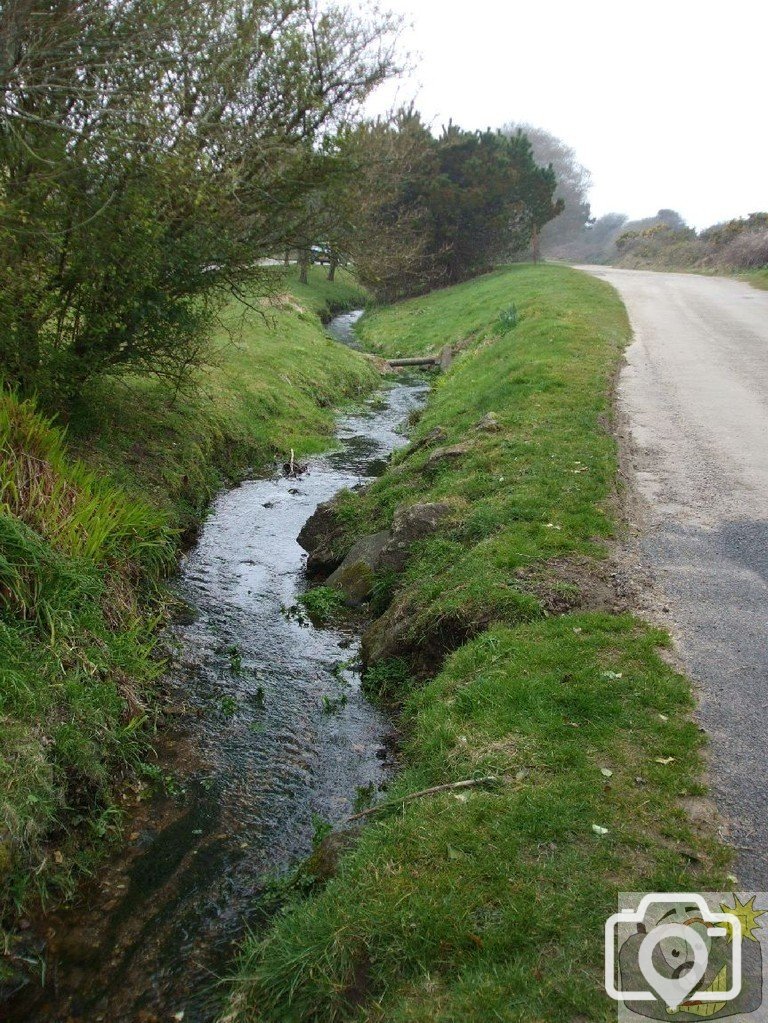 Stream from Trungle Moor, Paul Village - 17Mar10