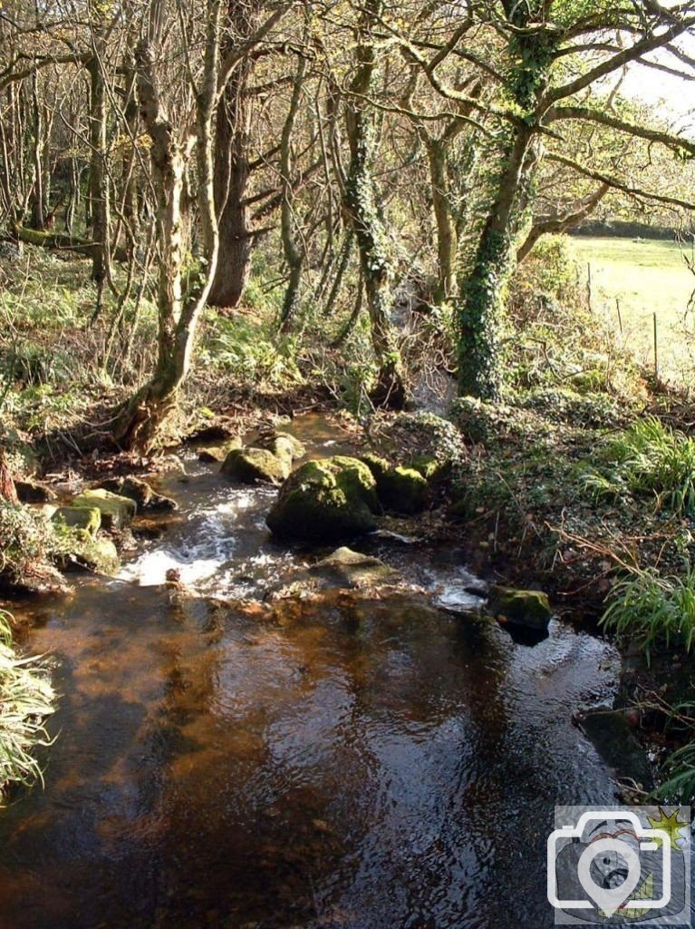 Stream in valley just before Sancreed