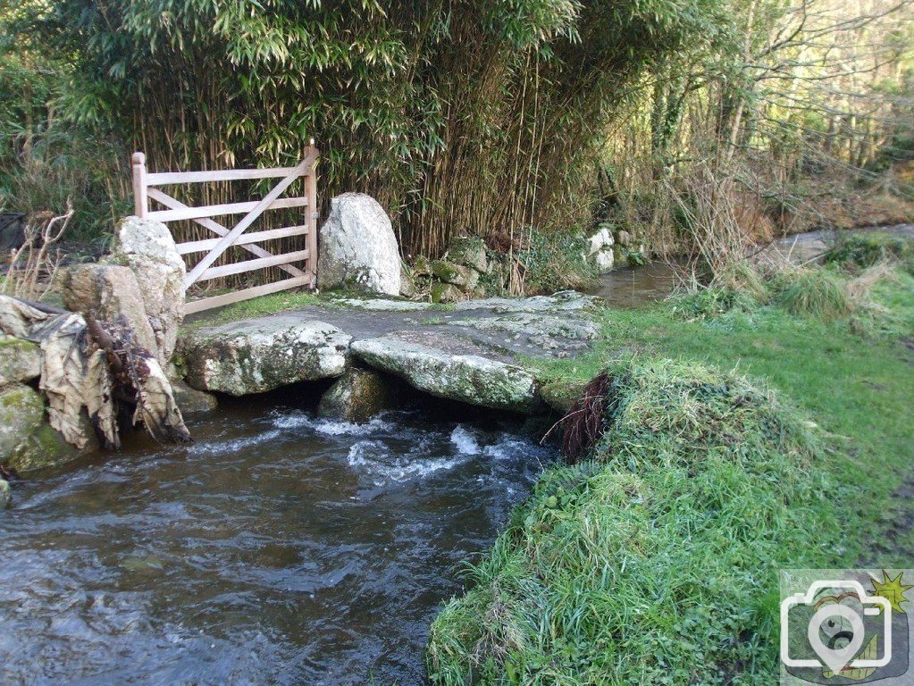 Sunday outing, 17th Jan, 2010: The river, Penberth Valley